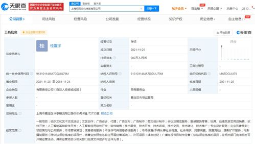 楊超越跨界進(jìn)軍科技圈 投資成立傳媒公司，布局人工智能軟件開發(fā)